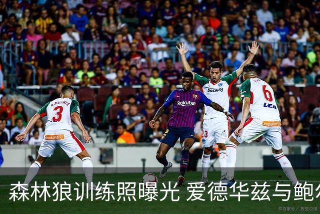 森林狼训练照曝光 爱德华兹与鲍尔同框亮相